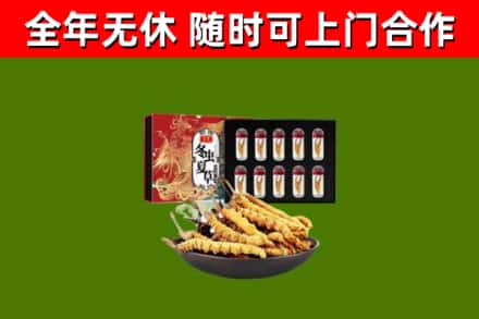 兰西县回收冬虫夏草价格